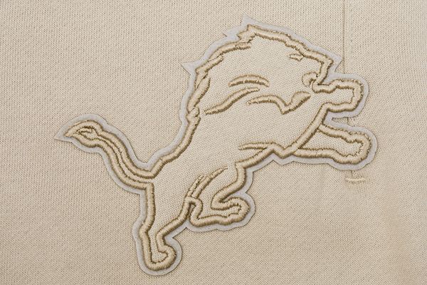 Detroit Lions Neutral FLC Sweatpant - Image 3