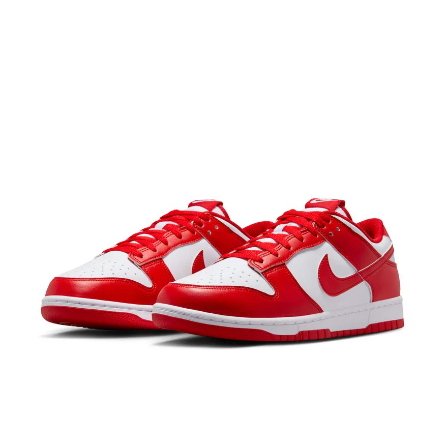 M Nike Dunk Low Retro HF5441-104