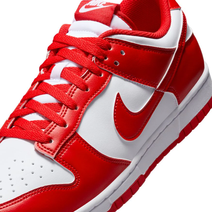 M Nike Dunk Low Retro HF5441-104 - Image 3