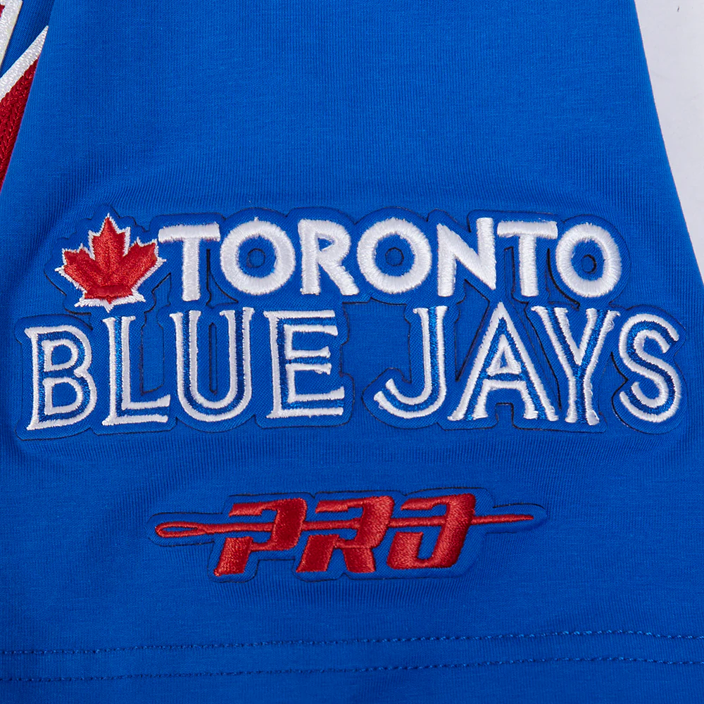 TORONTO BLUE JAYS CITY ARCH M SJ TEE LTJ1315305-RYB - Image 5